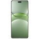 Смартфон Huawei nova 13 Pro MIS-LX9 12GB/512GB (дымчатый зеленый)